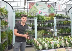 Daan van Sleeuwen of Sneijersplant with the Liriope, a good running product. Sneijersplant sells plants for visual and landscaping uses.